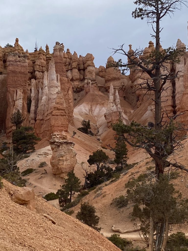 Hoodoos in Bryce Canyon