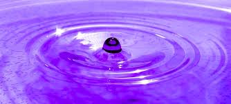 Water droplet in purple